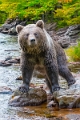 ours (4)